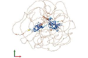 AlphaFold protein structure predicition of Human Recombinant NFAT5 Protein, UniprotID O94916