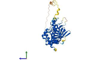 AlphaFold protein structure predicition of Mouse Recombinant Ptpn7 Protein, UniprotID Q8BUM3