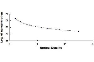Copeptin (CPP) ELISA Kit