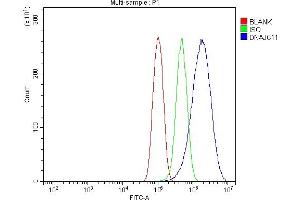 anti-DnaJ (Hsp40) Homolog, Subfamily C, Member 11 (DNAJC11) (AA 12-551) antibody