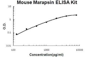 Mouse Marapsin/Pancresin PicoKine ELISA Kit standard curve (PRSS27 Kit ELISA)