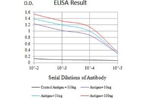 Black line: Control Antigen (100 ng),Purple line: Antigen (10 ng), Blue line: Antigen (50 ng), Red line:Antigen (100 ng) (BTLA anticorps  (AA 31-157))