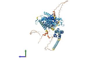 AlphaFold protein structure predicition of Human Recombinant PKD2L1 Protein, UniprotID Q9P0L9