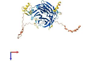 AlphaFold protein structure predicition of Mouse Recombinant Dcaf12l1 Protein, UniprotID Q8CBW4