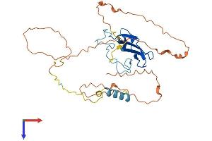 AlphaFold protein structure predicition of Human Recombinant ZAR1L Protein, UniprotID A6NP61