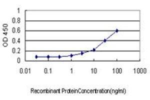Detection limit for recombinant GST tagged KLK10 is approximately 1ng/ml as a capture antibody.