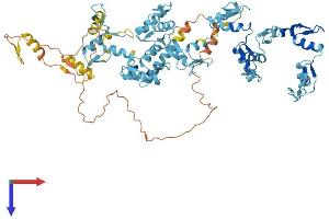 AlphaFold protein structure predicition of Human Recombinant ZNF441 Protein, UniprotID Q8N8Z8