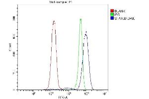 Flow Cytometry analysis of Jurkat cells using anti-STAT5b antibody (ABIN3042740).