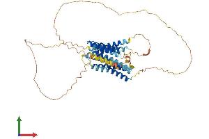 AlphaFold protein structure predicition of Human Recombinant SLC39A7 Protein, UniprotID Q92504