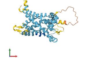 AlphaFold protein structure predicition of Human Recombinant SLC25A18 Protein, UniprotID Q9H1K4