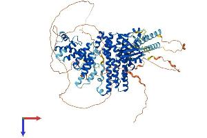 AlphaFold protein structure predicition of Human Recombinant ARHGEF1 Protein, UniprotID Q92888