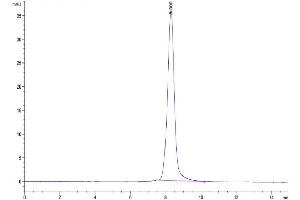 The purity of Biotinylated Human LILRA4 is greater than 95 % as determined by SEC-HPLC.