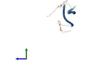 AlphaFold protein structure predicition of Mouse Recombinant Krt86 Protein, UniprotID P97861