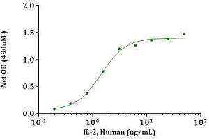 Interleukin 2 (IL2) (AA 21-153) (Active) protein