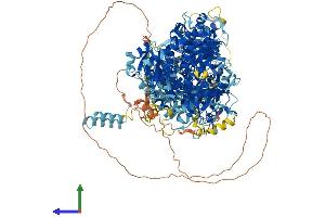 AlphaFold protein structure predicition of Mouse Recombinant Dip2a Protein, UniprotID Q8BWT5