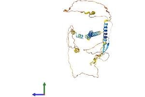 AlphaFold protein structure predicition of Mouse Recombinant Ier5l Protein, UniprotID Q99J55