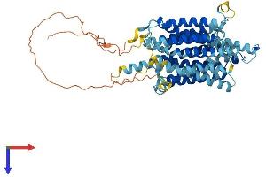 AlphaFold protein structure predicition of Mouse Recombinant Slc45a2 Protein, UniprotID P58355
