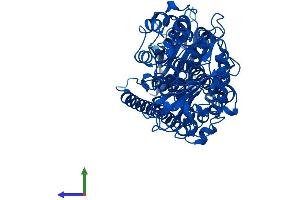 AlphaFold protein structure predicition of Mouse Recombinant Alox5 Protein, UniprotID P48999