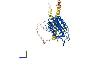 AlphaFold protein structure predicition of Human Recombinant CASP12 Protein, UniprotID Q6UXS9