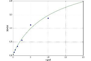 Mitogen-Activated Protein Kinase 3 (MAPK3) ELISA Kit