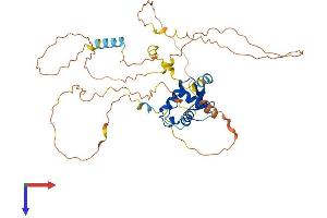 AlphaFold protein structure predicition of Mouse Recombinant Foxj1 Protein, UniprotID Q61660