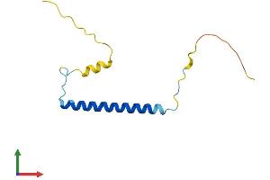 AlphaFold protein structure predicition of Human Recombinant C19orf53 Protein, UniprotID Q9UNZ5