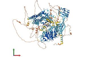 AlphaFold protein structure predicition of Mouse Recombinant Sbno1 Protein, UniprotID Q689Z5