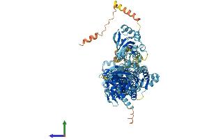 AlphaFold protein structure predicition of Human Recombinant ATP2C2 Protein, UniprotID O75185