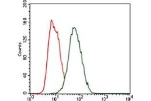 Flow Cytometry (FACS) image for anti-Hexosaminidase A (HEXA) antibody (ABIN1105521) (Hexosaminidase A anticorps)