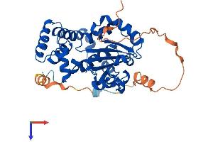 AlphaFold protein structure predicition of Mouse Recombinant Clvs1 Protein, UniprotID Q9D4C9