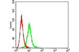 Flow cytometric analysis of K562 cells using CD104 mouse mAb (green) and negative control (red).