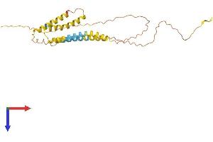 AlphaFold protein structure predicition of Human Recombinant ODF4 Protein, UniprotID Q2M2E3