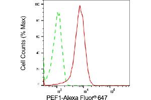 Flow cytometric analysis of PEF1 expression in Hela cells using PEF1 antibody (ABIN7799754), 1:2,000). (Recombinant PEF1 anticorps)