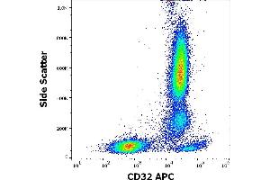 Flow cytometry surface staining pattern of human peripheral whole blood stained using anti-human CD32 (3D3) APC antibody (10 μL reagent / 100 μL of peripheral whole blood). (Fc gamma RII (CD32) anticorps (APC))