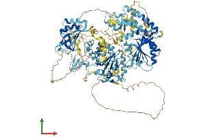 AlphaFold protein structure predicition of Human Recombinant HLTF Protein, UniprotID Q14527