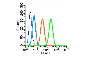 MCF7 cells were incubated in 5% BSA blocking buffer for 30 min at room temperature. (FSHR anticorps  (AA 21-100))