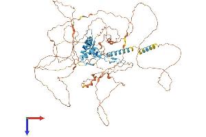 AlphaFold protein structure predicition of Mouse Recombinant Glis1 Protein, UniprotID Q8K1M4