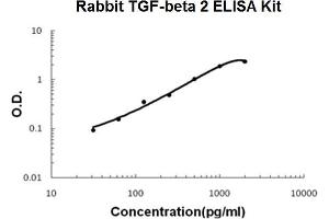 Rabbit TGF-beta 2 PicoKine ELISA Kit standard curve