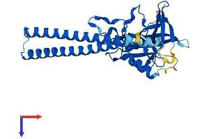 AlphaFold protein structure predicition of Human Recombinant SGF29 Protein, UniprotID Q96ES7