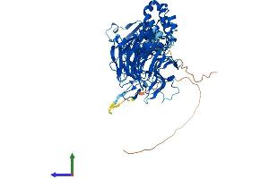 AlphaFold protein structure predicition of Human Recombinant KLHL6 Protein, UniprotID Q8WZ60