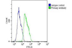 Overlay histogram showing MCF-7 cells stained with (ABIN652911 and ABIN2842587) (green line).