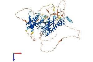 AlphaFold protein structure predicition of Human Recombinant TTLL3 Protein, UniprotID Q9Y4R7
