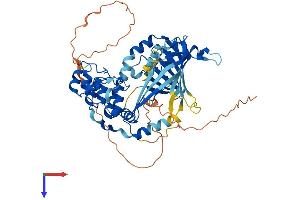 AlphaFold protein structure predicition of Mouse Recombinant Ankrd13c Protein, UniprotID Q3UX43