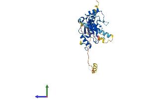 AlphaFold protein structure predicition of Mouse Recombinant Ube2j1 Protein, UniprotID Q9JJZ4