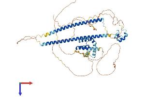 AlphaFold protein structure predicition of Mouse Recombinant Cbfa2t2 Protein, UniprotID O70374