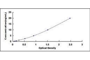 Thioredoxin Reductase 1 (TXNRD1) ELISA Kit
