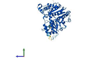 AlphaFold protein structure predicition of Human Recombinant KYAT3 Protein, UniprotID Q6YP21