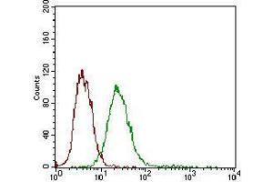 Flow cytometric analysis of A431 cells using DSG3 mouse mAb (green) and negative control (red).