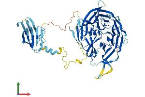 AlphaFold protein structure predicition of Mouse Recombinant Nudcd1 Protein, UniprotID Q6PIP5