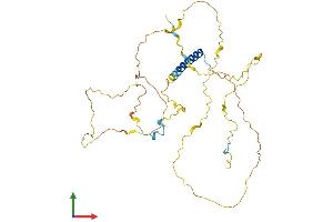 AlphaFold protein structure predicition of Human Recombinant PSRC1 Protein, UniprotID Q6PGN9